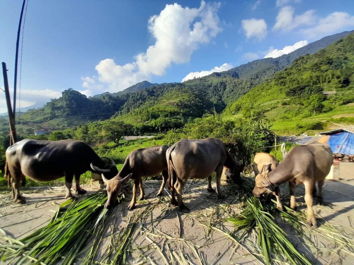 Ha Giang Donkey Hostel Exterior foto